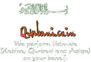 qurbani.com